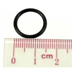 Tank O-Ring (Viton)