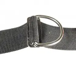 Stainless Steel D-ring - 2 Inch
